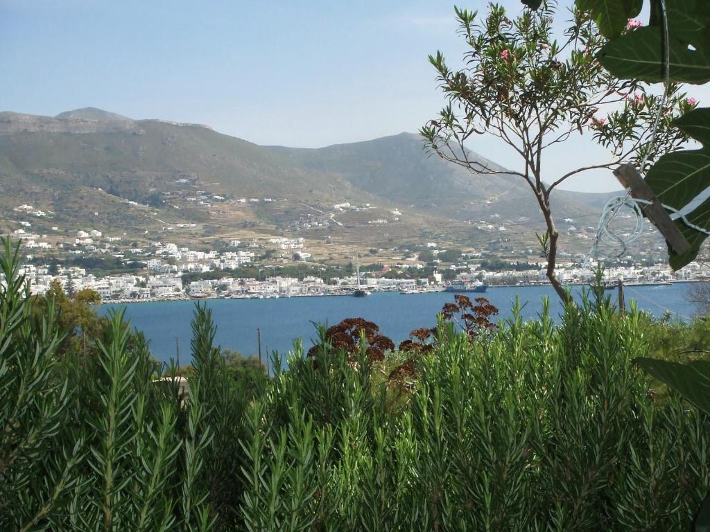 Villas Georgy Páros Exteriör bild